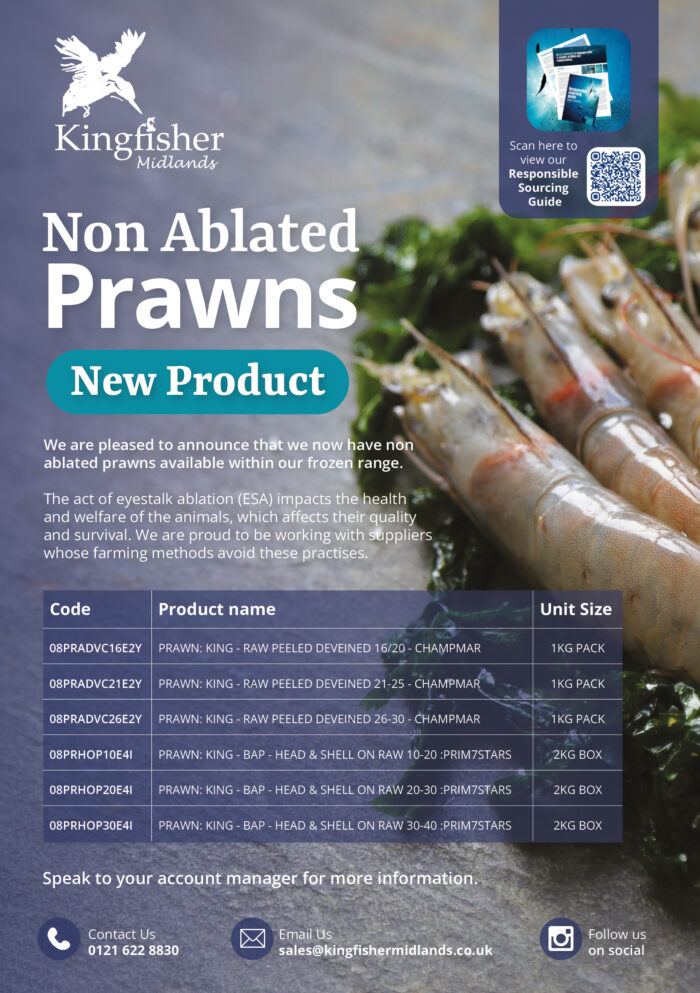 non ablated prawns eflyer