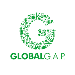 Global GAP
